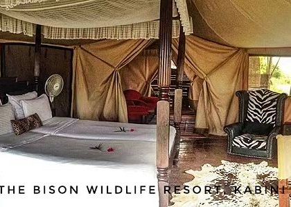 The interior of a luxury tent at The Bison Wildlife Resort, Kabini, featuring elegant, safari-themed decor for a truly unique stay.