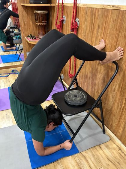This student demonstrates great form in a supported backbend. The chair helps lift the hips and open the chest, making the Vrischikasana (Scorpion Pose) variation more attainable and safe.