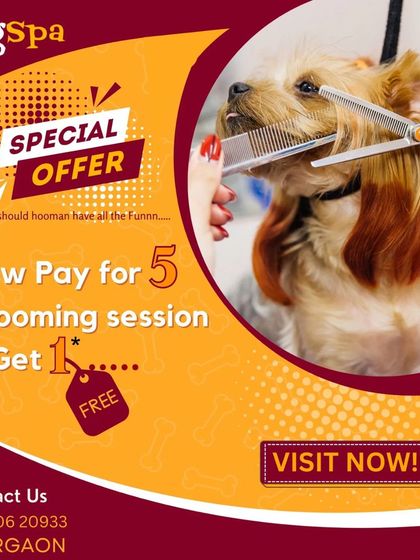 Why should hoomans have all the fun? With my special offer, you can pay for five grooming sessions and get one completely free. It's the perfect way to keep your pet consistently pampered.