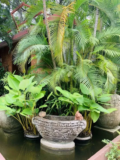 Detailed stonework and tropical plants are key elements of our landscape design, creating beautiful nooks and corners all over the property.