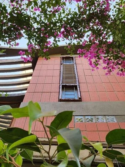 Looking up at the studio's clay block facade through blooming bougainvillea. The vibrant pink flowers create a beautiful contrast with the earthy red of the building materials, celebrating the arrival of spring.