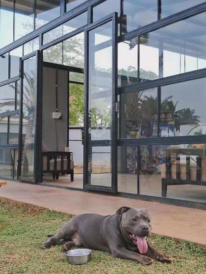 The Pawsome Camp - Dog Daycare & Boarding The Pawsome Playground: 2 Acres of Freedom photo 35