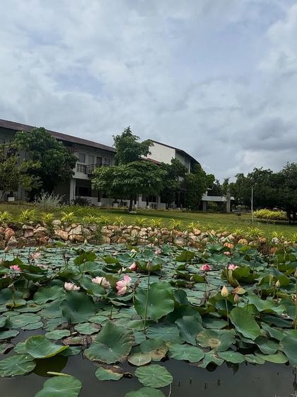 Our lotus pond is a central feature of the retreat, a constant visual reminder of peace, purity, and inner awakening. It's a favorite spot for guests to pause and reflect.