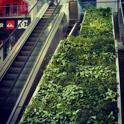Corporate & Commercial Green Walls photo 10