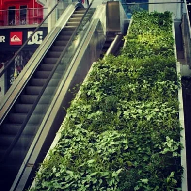 We bring greenery to high-traffic public spaces, like this vertical garden installed alongside an escalator at High Street Phoenix in Mumbai. It introduces a surprising and refreshing touch of nature into the urban shopping experience.