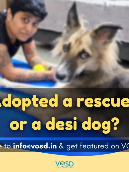 Have you adopted a rescued or desi dog? Your story can inspire others to make the same life-changing choice. Write to me at info@vosd.in to be featured and help spread the message of adoption.