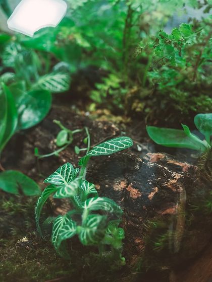 Creative Vessels: Teapots, Jars & More photo 57