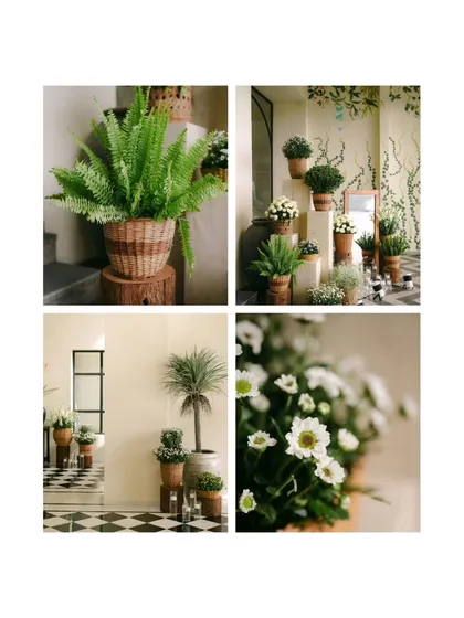 A collage of the lush, green decor. Potted ferns and white daisies bring a touch of nature indoors, creating a fresh and vibrant ambiance for the celebration.