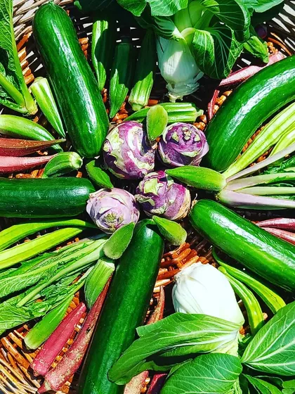 A basket showcasing the sheer variety you can grow. From crunchy cucumbers and bok choy to vibrant okra and artichokes, your home farm can be a constant source of diverse, nutritious produce.