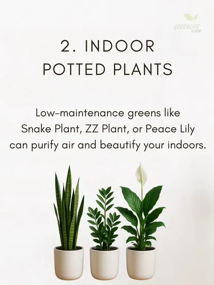 Indoor potted plants are a simple way to start your green journey. We recommend low-maintenance options like the Snake Plant, ZZ Plant, and Peace Lily to purify your air and beautify your home.