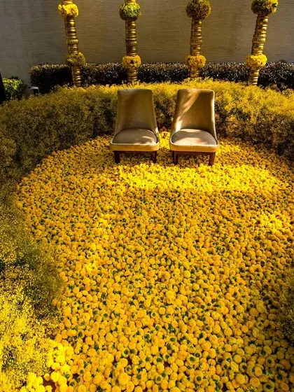 A top-down view of the Haldi seating, emphasizing the sheer volume of yellow flowers used to create this beautiful and immersive experience for the couple.