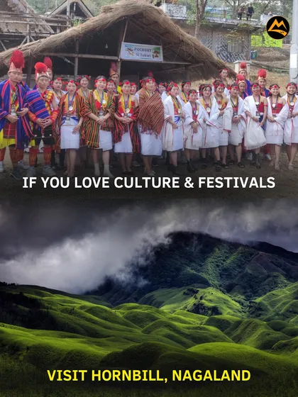 Experience the vibrant culture of Nagaland at the Hornbill Festival. I plan special trips so you can witness the unique traditions, music, and dance of the Naga tribes.