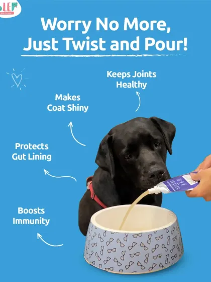 A shiny coat, a happy gut, and strong joints aren't just about luck; they come from great nutrition. Our slow-cooked bone broth is an easy way to boost your pet's immunity and hydration. Just twist and pour to add a dose of wellness to their bowl.