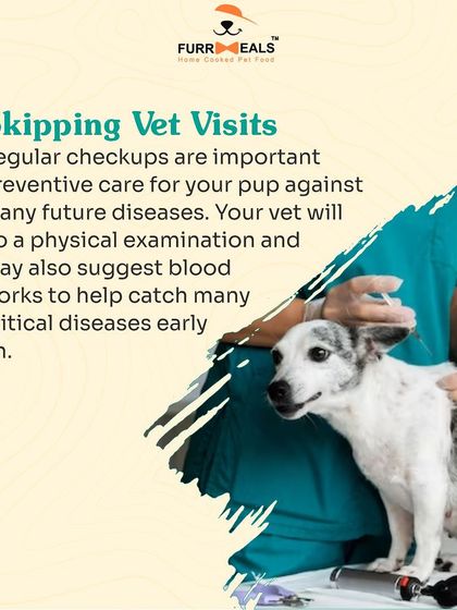This comprehensive guide for new pet parents covers five key areas: establishing yourself as the pack leader, obedience training, avoiding overfeeding, ensuring enough exercise, and the importance of regular vet visits.