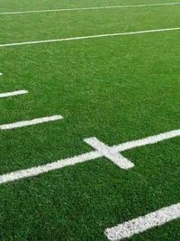 Sports & Recreation Turf