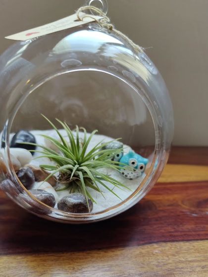 Healing Garden - Terrarium & Miniature Garden Workshops Our Garden & Terrarium Styles photo 9