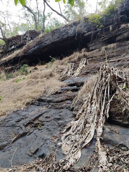 The unique rock formations and dry vegetation on the approach to the caves during the summer season.
