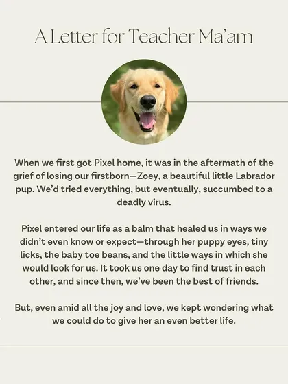 A beautiful letter from Pixel's family, sharing how she healed their hearts after the loss of a previous pet.