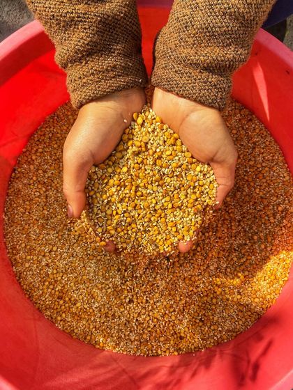 The raw ingredients of our Molgapudi, a handful of wholesome dals and spices. We believe in using only the best quality, natural ingredients to create a product that tastes just like it was made at home.