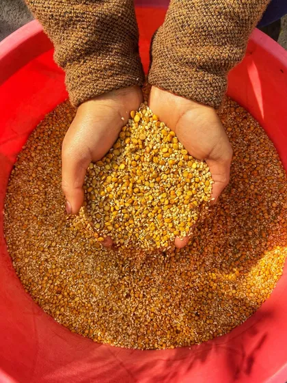 The raw ingredients of our Molgapudi, a handful of wholesome dals and spices. We believe in using only the best quality, natural ingredients to create a product that tastes just like it was made at home.