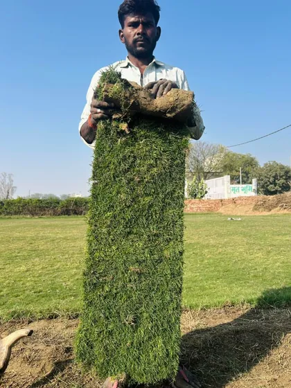 This is a roll of my premium, farm-fresh turf. Notice the thick, dense grass and the rich soil base. This is the quality I deliver for every project, ensuring a healthy and long-lasting lawn.