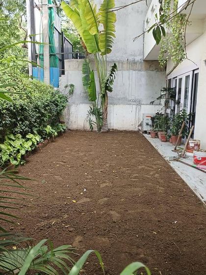 The first step in any project is preparing the canvas. Here is a residential backyard after we've cleared it and leveled the soil, ready for its green makeover.