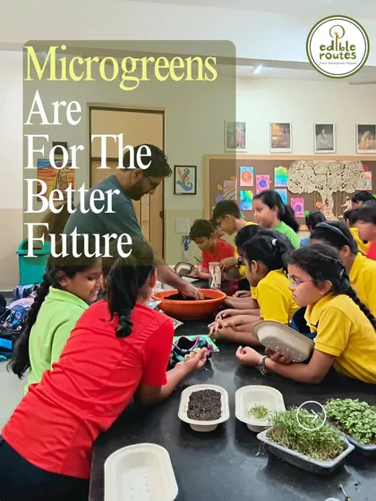 Teaching children how to grow microgreens is teaching them about a better future. It's a simple, fun activity that connects them to nature and healthy eating habits.