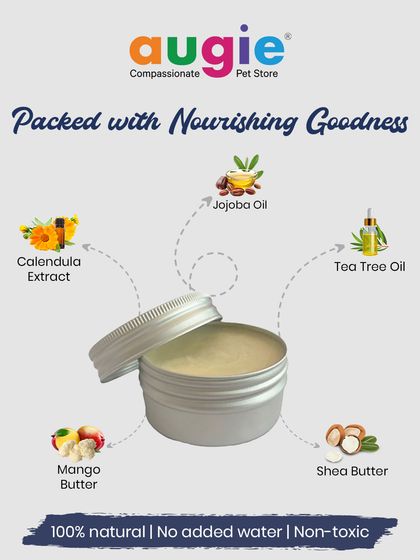 Augie Pets - Pet Supplies Health, Wellness & Pet Care Tips photo 8