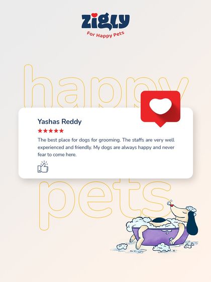 Zigly - Professional Pet Grooming & Spa Hear From Our Happy Pet Parents photo 13