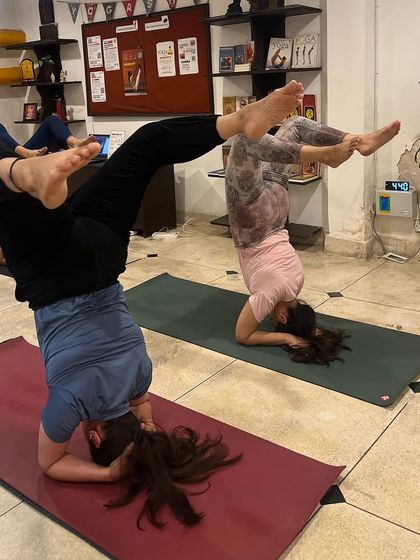 Graduates of our TTC practicing advanced variations of Sirsasana (Headstand) together. A mature practice is a continuous journey of exploration and refinement.