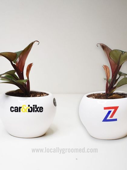 A pair of branded plant pots for Car & Bike and another client, showcasing our ability to handle different logos and branding requirements on the same high-quality product.