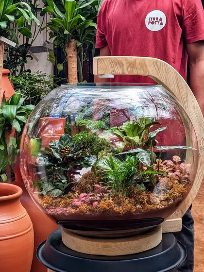 This is our large 'Living Lamp', a self-sustaining terrarium with an integrated light that we had the pleasure of creating as a birthday gift for Hrithik Roshan. It turns into a glowing, living globe, making it a unique piece of decor that is truly a conversation starter.