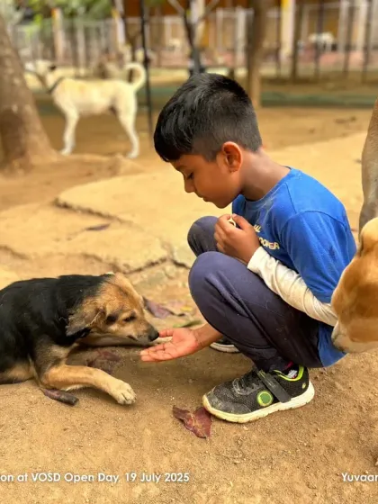 A young visitor gently offers a treat to one of our dogs. Teaching children kindness towards animals is one of the most important lessons we can share.