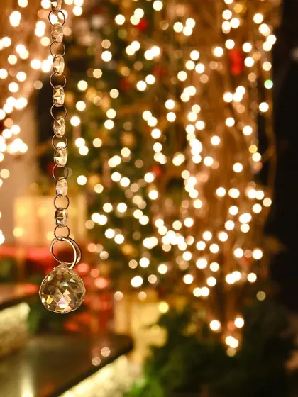 A detail shot of the Christmas arch, showing the delicate crystal ornaments we hung from the branches to catch the light and add a touch of sparkle.