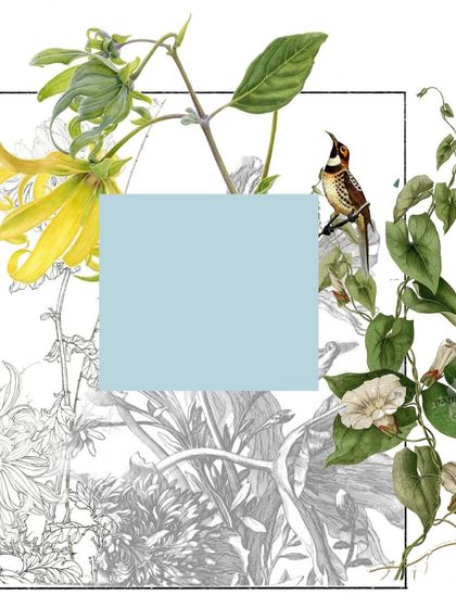 A digital concept sketch for the "A Tonic of Calm" mural. This is where I explore the composition, blending colored botanical illustrations with monochrome line art.