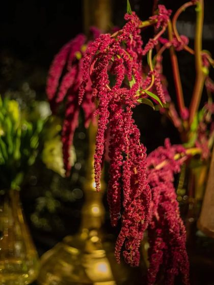 Grand Galas & Opulent Receptions photo 35