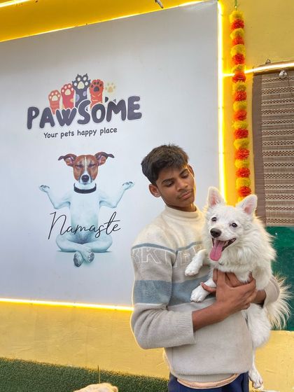 This fluffy white Spitz is all smiles in front of our Pawsome logo. It’s our goal to make every dog feel this happy and relaxed when they are in our care.