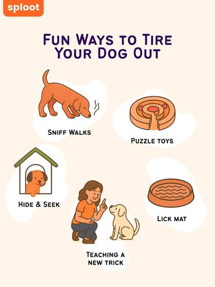 A tired dog is a happy dog. This infographic shows five fun and easy ways to tire your dog out mentally and physically, including sniff walks, puzzle toys, and teaching a new trick.