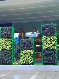 Vertical Gardens