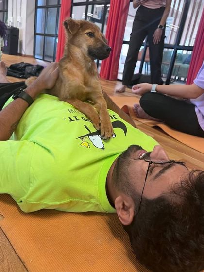 Sreya Bhar - Yoga Classes (Online & In-Person) Specialty Yoga: Partner, Kids & Prenatal photo 22