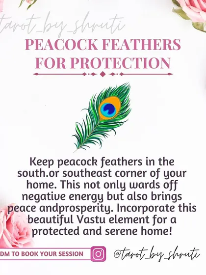 A Vastu tip for protection and prosperity. This post explains how keeping peacock feathers in the south or southeast corner of your home can ward off negative energy and bring peace.
