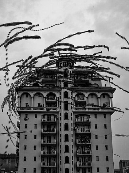 'TORNADO'. An ornithograph of birds swarming around a high-rise building, creating a vortex-like pattern reminiscent of a tornado or Harry Potter's Dementors.