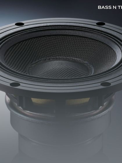 For the Audiophile: High-Fidelity Stereo Setups photo 50