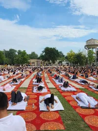 Corporate & Event Yoga