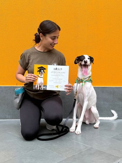 Tintin, a parvo survivor, looking so proud on his graduation day. His journey has been truly inspiring.