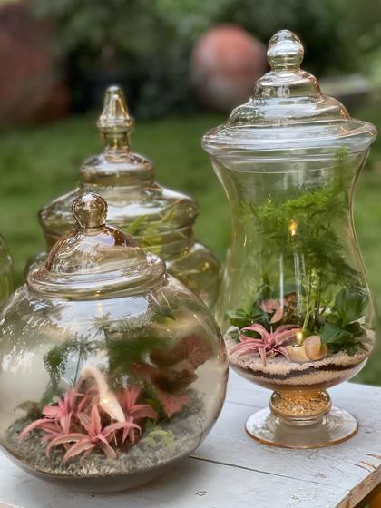 Greenhouse - Living Botanical Art & Arrangements Miniature Living Worlds photo 6