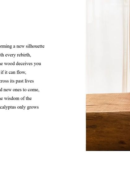 The wisdom of the eucalyptus only grows. We use repurposed wood to create new silhouettes, allowing the material to live on and tell its story across past and future lives.