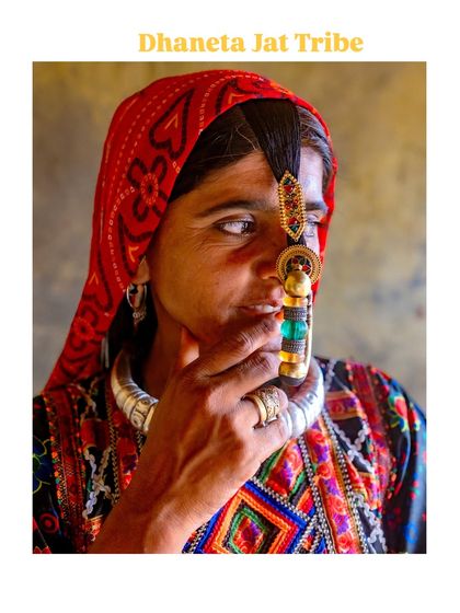 A close-up profile of a Dhaneta Jat woman, showcasing her large, ornate gold nose ring. This piece of jewelry is a significant cultural marker, worn after marriage.
