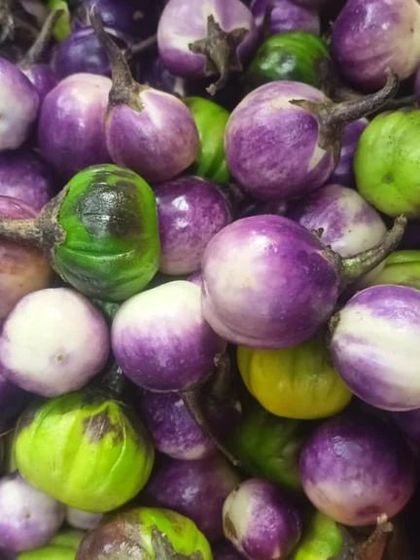 A mix of purple, white, and green pea-sized eggplants. These tiny brinjals are full of flavor and are a classic ingredient in many regional dishes.