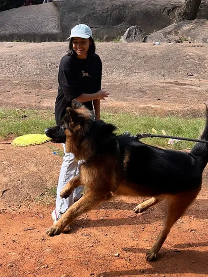 Look at that drive. Working with Hustler the GSD was a blast. Using a dog's natural play drive is one of the most effective ways to train and build a strong, positive relationship.